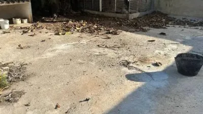 Casa - Vista 2