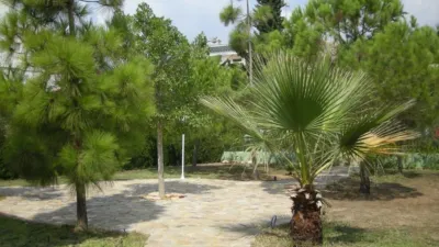 Casa – Orihuela, Mil Palmeras - Vista 5