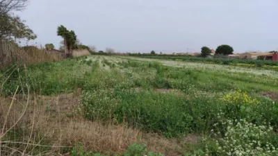 Terreno en venta en Dolores - Vista 2
