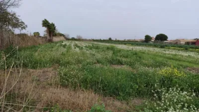 Terreno en venta en Dolores - Vista 3
