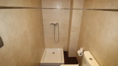 Miniatura 9