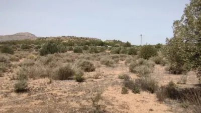 Terreno en venta en Sax - Más