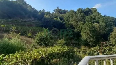 Rustic house in Atrio (Leiro) photo 26