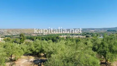 Terreno en venta en Alfafara - Vista 2