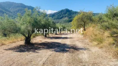 Terreno en venta en Alfafara - Vista 3