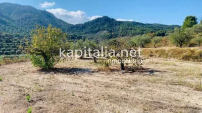 Terreno en venta en Alfafara - Vista 4