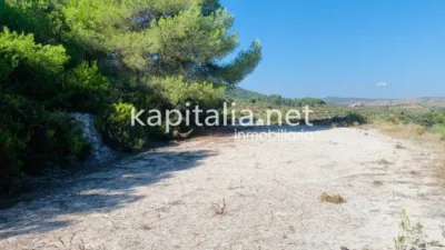 Terreno en venta en Alfafara - Más
