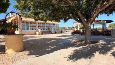 Casa – Elx - Elche - Vista 3