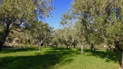 Terreno en venta en Benissa - Más