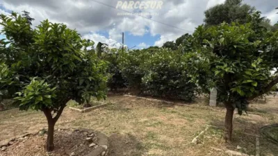 Rustic house in Cortijo de La Torre photo 24