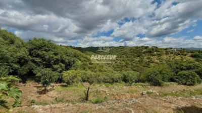 Rustic house in Cortijo de La Torre photo 35