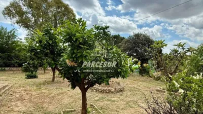 Rustic house in Cortijo de La Torre photo 36