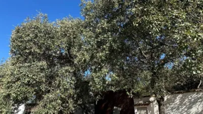 Casa rústica en Almodóvar del Río photo 33
