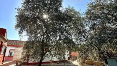 Casa rústica en Almodóvar del Río photo 44