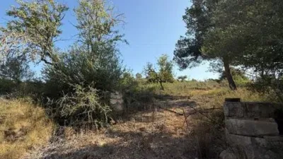 Casa rústica en venta en Manacor, Manacor de 620.000 €