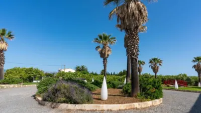 Rustic villa in Urbanización Platja de Muro photo 13