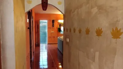 Chalet in Callosa de Segura photo 10