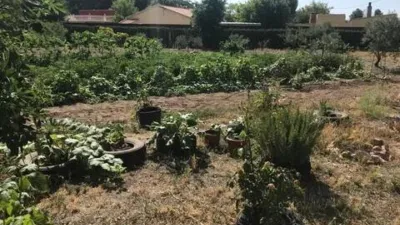 Chalet in Pedanías and Rural Districts photo 5