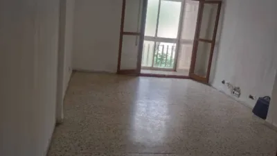 Miniatura 12