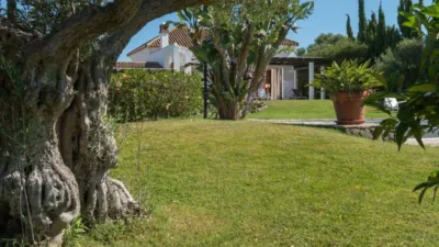 House at Calle Las Alondras 10 photo 29