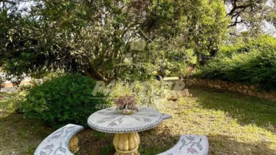 Rustic house in Cortijo de La Torre photo 21