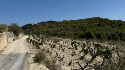 Terreno en venta en Benissa Pueblo - Vista 5