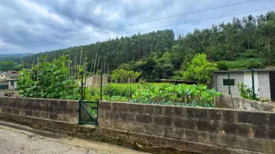 House in Vegadeo photo 30
