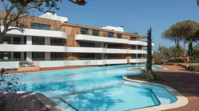 Apartment in Barrio San Roque photo 6