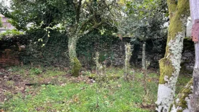 House in Cea photo 37