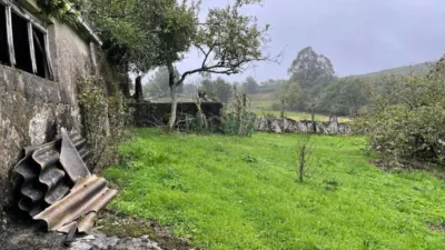 House in Cea photo 38