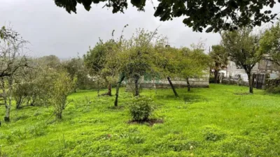 House in Cea photo 40