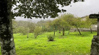 House in Cea photo 43