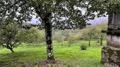 House in Cea photo 44