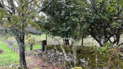 House in Cea photo 46