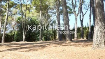 House in El Pilar - Santa Anna Hermitage Area photo 32
