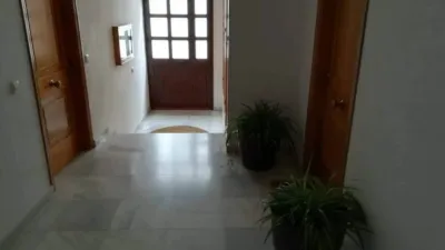 Apartment in Grazalema photo 15