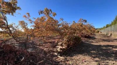 Terreno en venta en Polop - Vista 2