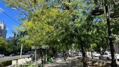 Piso en alquiler en Almagro - Imagen 20