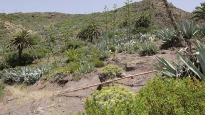 Casa rústica en venta en Benchijigua, Benchijigua (San Sebastián de La Gomera) de 50.000 €