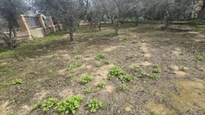 Villa in Gea y Trullols photo 81