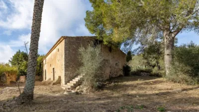 Rustic house in Cura photo 34