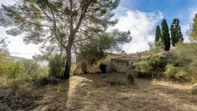 Rustic house in Cura photo 6