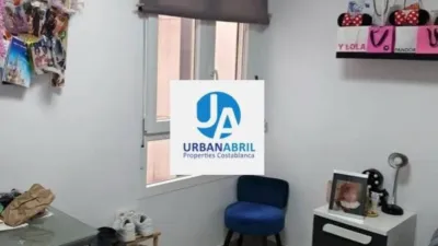 Apartment on Alcalde Felipe Mallol photo 12