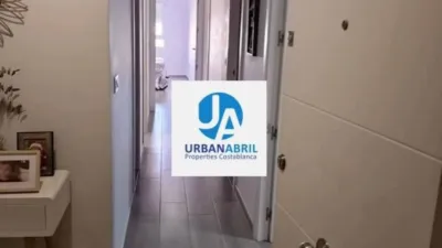 Apartment on Alcalde Felipe Mallol photo 14