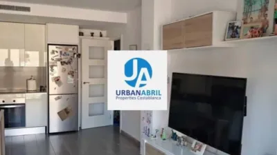 Apartment on Alcalde Felipe Mallol photo 3