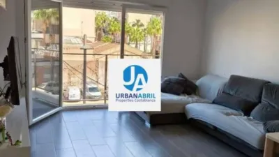 Apartment on Alcalde Felipe Mallol photo 5