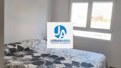 Apartment on Alcalde Felipe Mallol photo 7