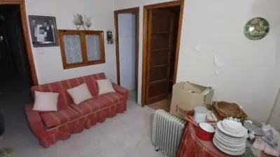 Miniatura 10