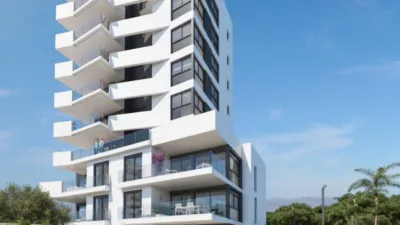 Apartment in Guardamar del Segura photo 15