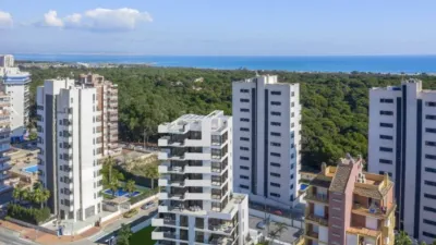 Apartment in Guardamar del Segura photo 12
